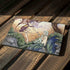 Amy Brown The Introduction Surface Pro 7 Skin