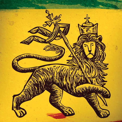 The Lion of Judah Rasta Flag iPhone X Pro Case