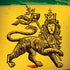 The Lion of Judah Rasta Flag iPhone X Pro Case