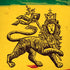 The Lion of Judah Rasta Flag iPhone XS Pro Case