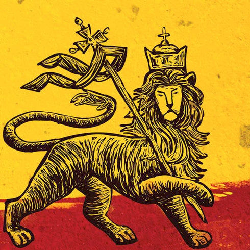 The Lion of Judah Rasta Flag Moto E5 Play Skin