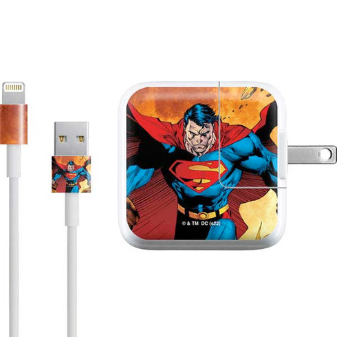 DC Comics Superman Action Pose Art By Jim Lee iPad Charger (10W USB) Skin