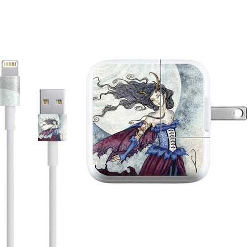 Amy Brown The Moon is Calling Fairy and Dragon iPad Charger (10W USB) Skin