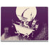 Disney The Nightmare Before Christmas Lock Shock and Barrel Art Surface Book 2 15in Skin