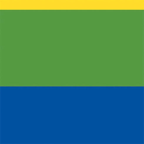 The Rainbow Flag Nintendo 2DS XL (2017) Skin