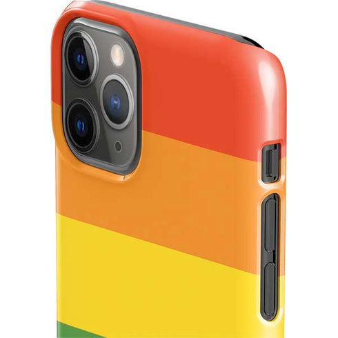 The Rainbow Flag iPhone 11 Pro Lite Case