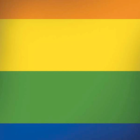 The Rainbow Flag iPhone X Pro Case