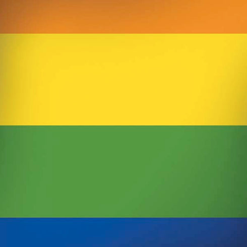 The Rainbow Flag iPhone X Skin
