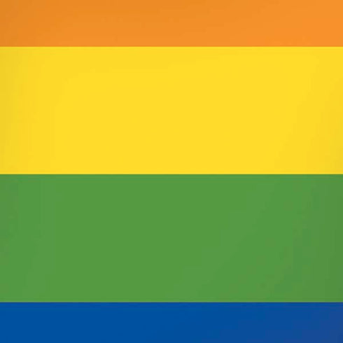 The Rainbow Flag iPhone XR Pro Case