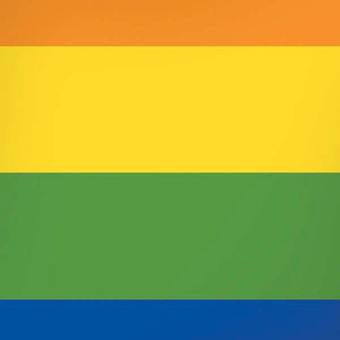 The Rainbow Flag iPhone XR Skin