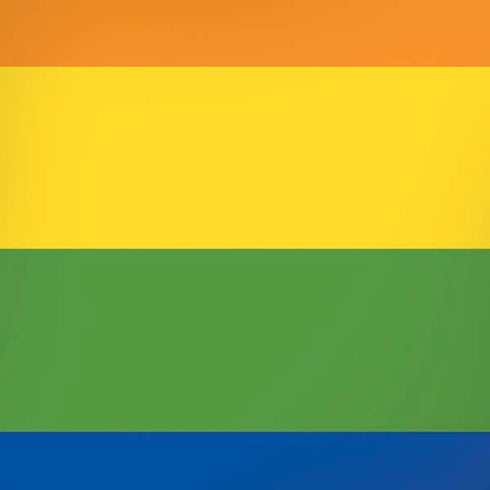 The Rainbow Flag iPhone XS Max Skin