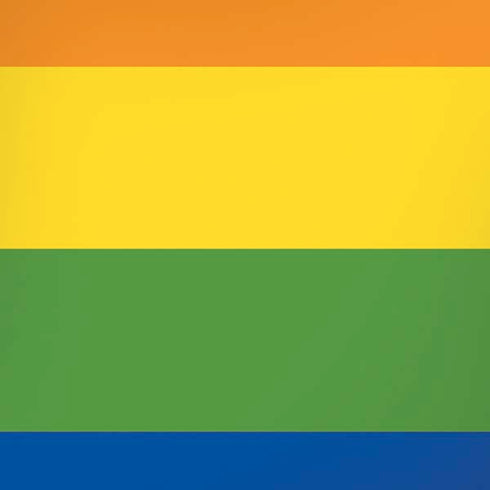 The Rainbow Flag iPhone XS Pro Case