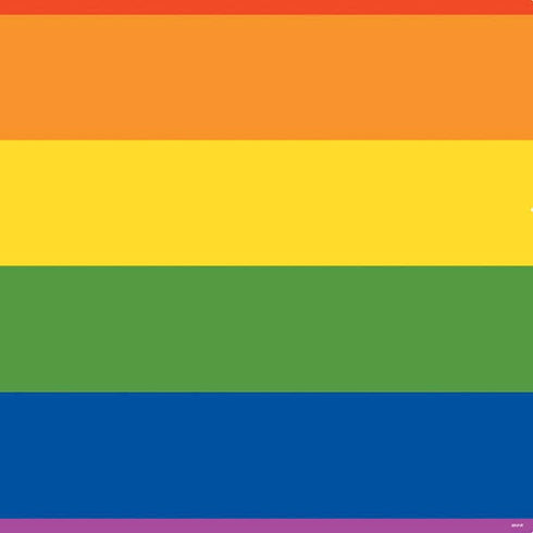 The Rainbow Flag PS4 Console and Controller Bundle Skin