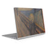 Edvard Munch The Scream Surface Book 2 15in Skin