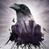 Alchemy The Seer Dell Alienware Skin