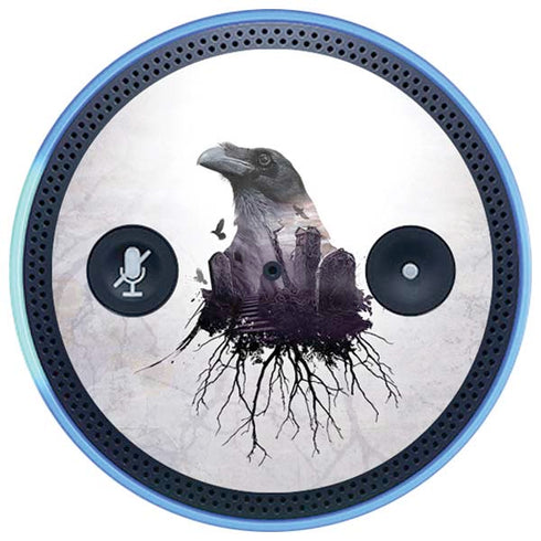 Alchemy The Seer Amazon Echo Skin