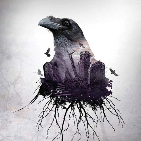 Alchemy The Seer Amazon Echo Skin