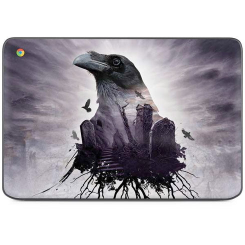 Alchemy The Seer HP Chromebook Skin