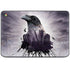 Alchemy The Seer HP Chromebook Skin