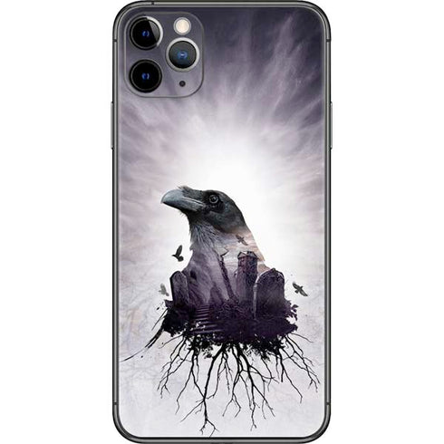 Alchemy The Seer iPhone 11 Pro Max Skin