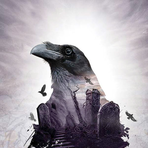 Alchemy The Seer iPhone XS Max Skin