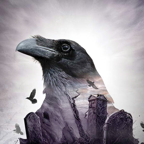 Alchemy The Seer Moto G6 Skin