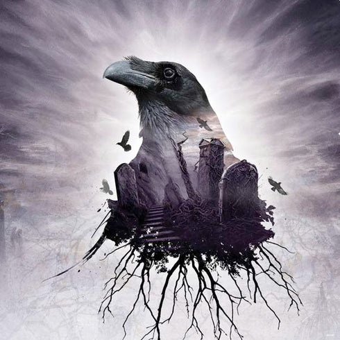 Alchemy The Seer PS4 Console and Controller Bundle Skin