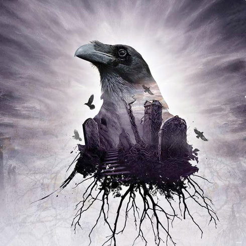 Alchemy The Seer PS4 Console Skin