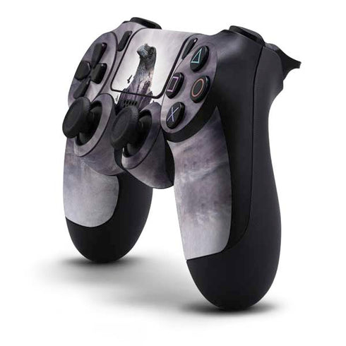 Alchemy The Seer PS4 Controller Skin