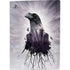 Alchemy The Seer PS5 Console Skin