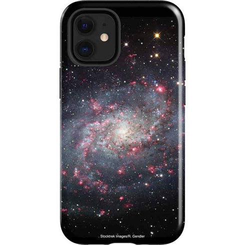 The Triangulum Galaxy iPhone 12 Mini Impact Case