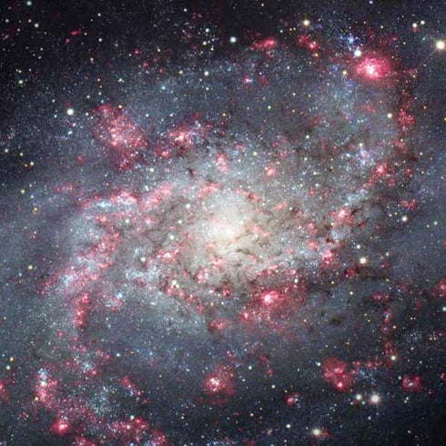 The Triangulum Galaxy iPhone X Pro Case