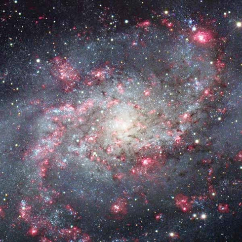The Triangulum Galaxy iPhone XS Pro Case