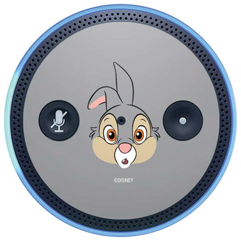 Disney Bambi Thumper Portrait Amazon Echo Skin