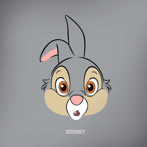 Disney Bambi Thumper Portrait Amazon Echo Skin