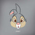 Disney Bambi Thumper Portrait Amazon Echo Skin