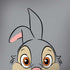 Disney Bambi Thumper Portrait Galaxy Note 8 Skin