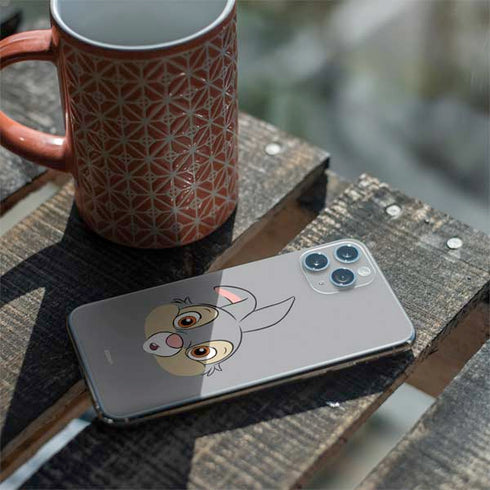 Disney Bambi Thumper Portrait iPhone 11 Pro Skin