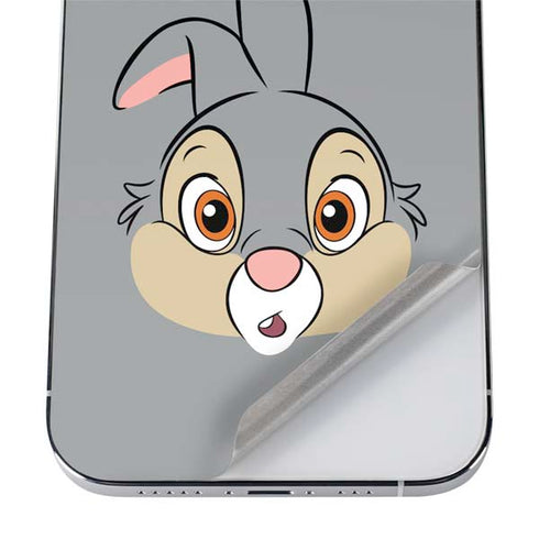 Disney Bambi Thumper Portrait iPhone 12 Pro Max Skin