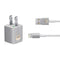Disney Bambi Thumper Portrait iPhone Charger (5W USB) Skin