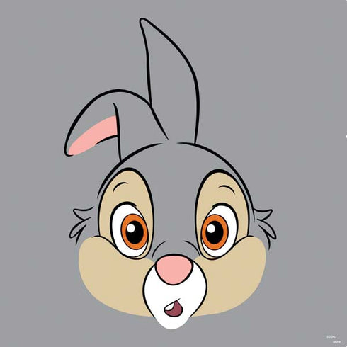 Disney Bambi Thumper Portrait PS4 Console and Controller Bundle Skin