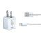 Disney Bambi Thumper Sketched portrait iPhone Charger (5W USB) Skin