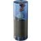 Disney Princess and The Frog Tiana’s Wish Amazon Echo Skin