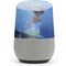 Disney Princess and The Frog Tiana’s Wish Google Home Skin