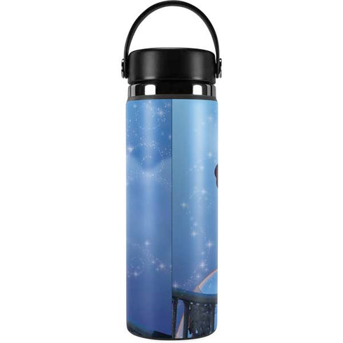 Disney Princess and The Frog Tiana’s Wish Hydro Flask 20oz Wide Mouth Skin