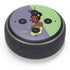 Disney Princess Tiana Art Amazon Echo Dot Skin