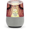 Disney Princess and The Frog Tiana and Dr. Facilier Google Home Skin