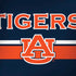 Auburn University Tigers AU Dell Alienware Skin