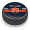 Auburn University Tigers AU Amazon Echo Dot Skin