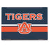 Auburn University Tigers AU HP Envy Skin